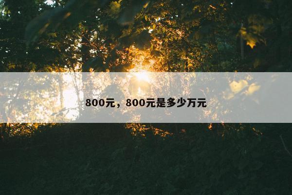 800元,800元是多少万元 800元,800元是多少万元