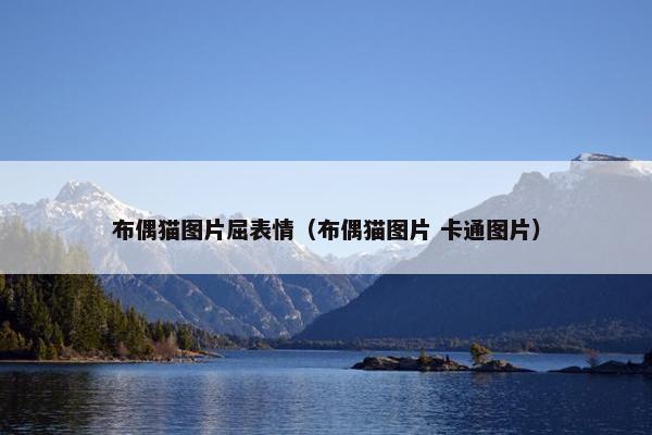 布偶猫图片屈表情（布偶猫图片 卡通图片）