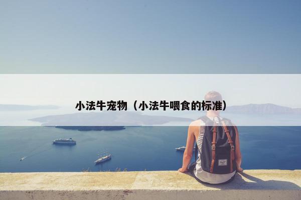 小法牛宠物（小法牛喂食的标准）