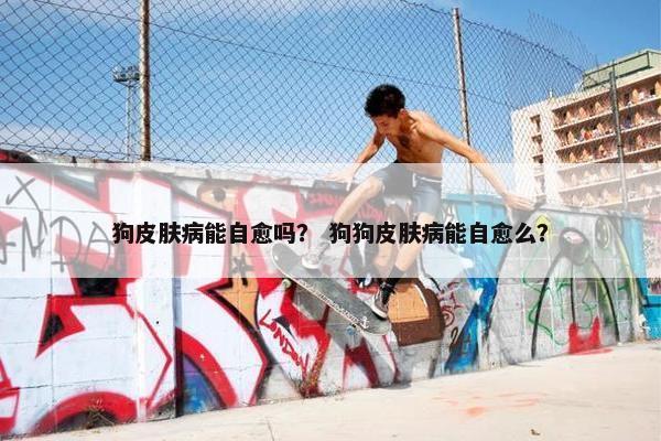 狗皮肤病能自愈吗? 狗狗皮肤病能自愈么?