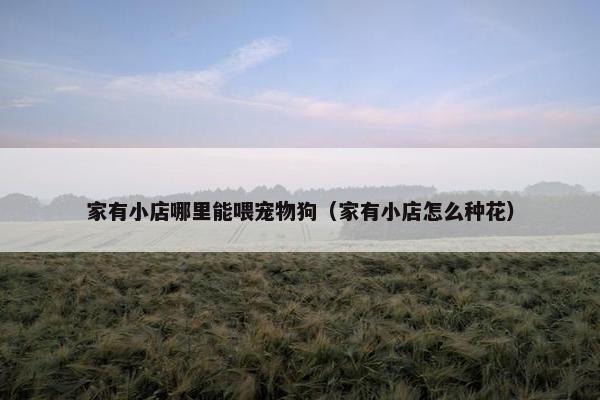 家有小店哪里能喂宠物狗（家有小店怎么种花）