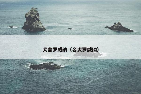 犬舍罗威纳(名犬罗威纳) 犬舍罗威纳(名犬罗威纳)