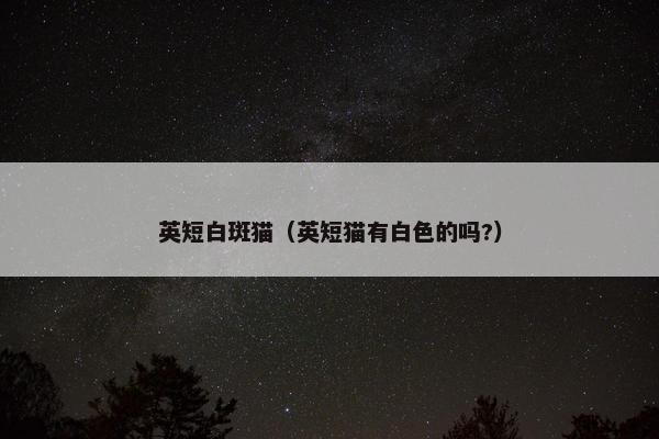 英短白斑猫（英短猫有白色的吗?）