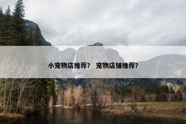 小宠物店推荐？ 宠物店铺推荐？