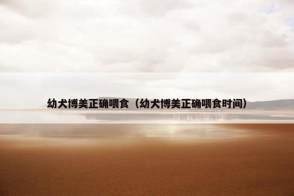 幼犬博美正确喂食（幼犬博美正确喂食时间）