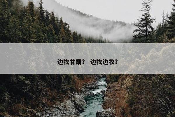 边牧甘肃？ 边牧边牧？