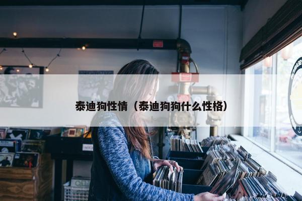 泰迪狗性情（泰迪狗狗什么性格）