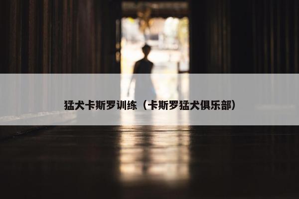 猛犬卡斯罗训练（卡斯罗猛犬俱乐部）