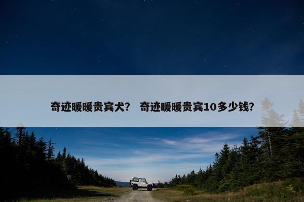 奇迹暖暖贵宾犬? 奇迹暖暖贵宾10多少钱? 奇迹暖暖贵宾犬? 奇迹暖暖贵宾10多少钱?