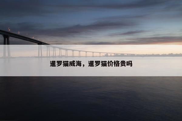 暹罗猫威海，暹罗猫价格贵吗