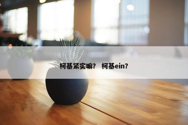 柯基紧实嘛？ 柯基ein？