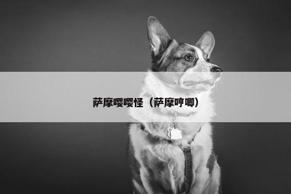 萨摩嘤嘤怪(萨摩哼唧)