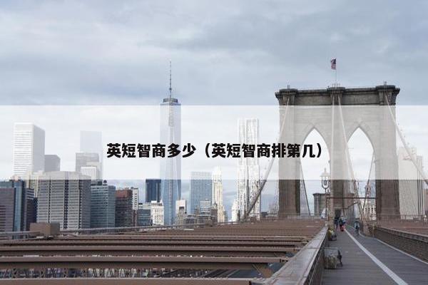 英短智商多少(英短智商排第几)