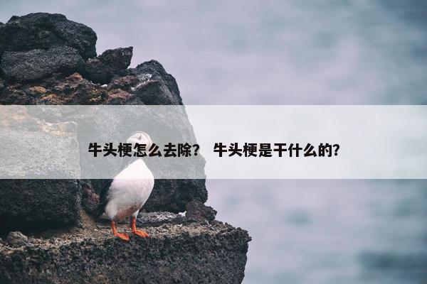 牛头梗怎么去除? 牛头梗是干什么的?