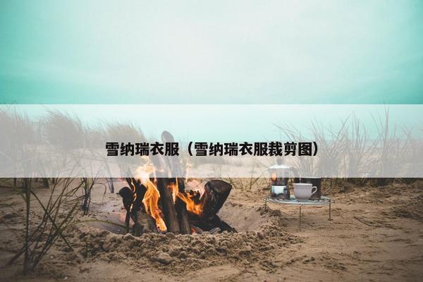 雪纳瑞衣服（雪纳瑞衣服裁剪图）