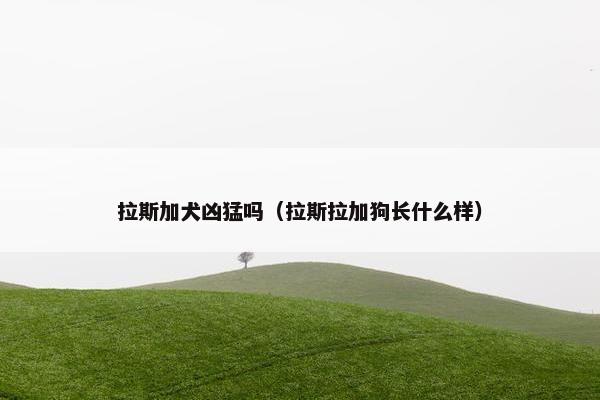 拉斯加犬凶猛吗（拉斯拉加狗长什么样）