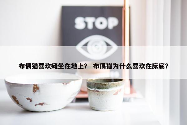 布偶猫喜欢瘫坐在地上？ 布偶猫为什么喜欢在床底？