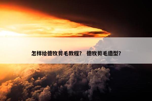 怎样给德牧剪毛教程？ 德牧剪毛造型？