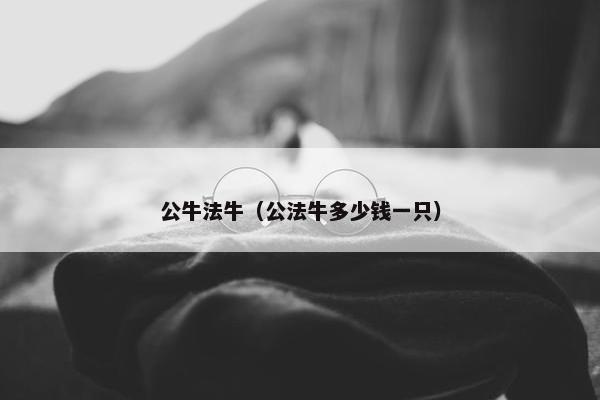 公牛法牛（公法牛多少钱一只）