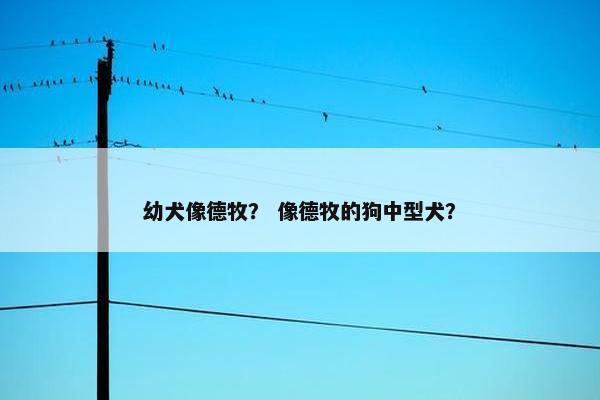 幼犬像德牧？ 像德牧的狗中型犬？