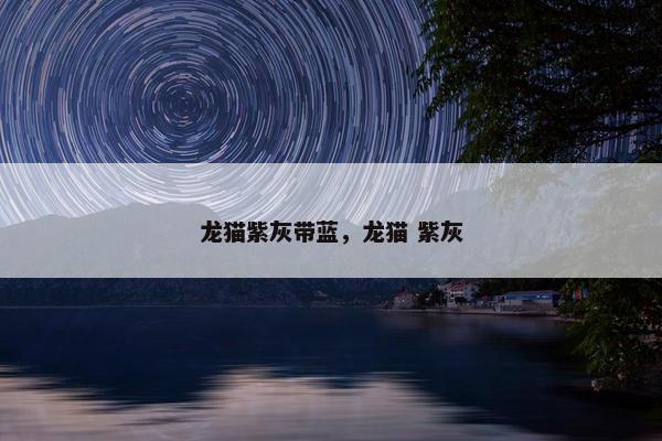 龙猫紫灰带蓝,龙猫 紫灰 龙猫紫灰带蓝,龙猫 紫灰