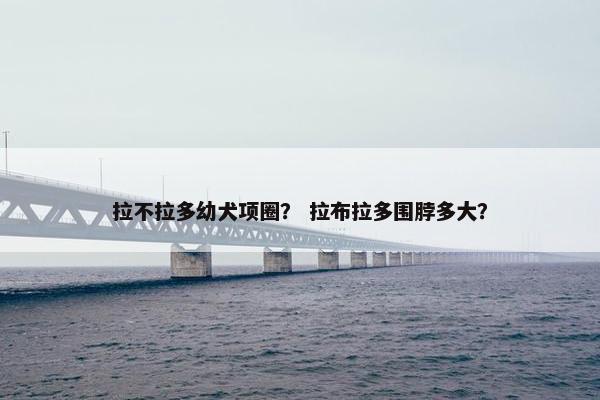 拉不拉多幼犬项圈? 拉布拉多围脖多大?