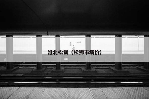 淮北松狮（松狮市场价）