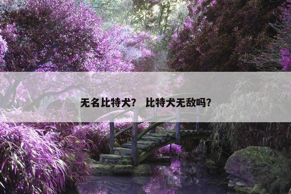 无名比特犬？ 比特犬无敌吗？