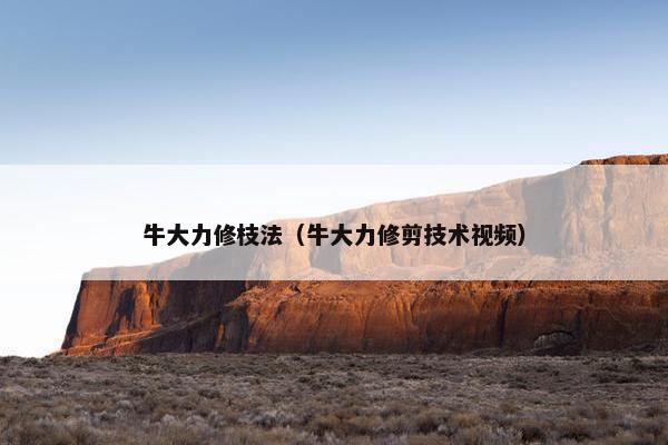 牛大力修枝法(牛大力修剪技术视频) 牛大力修枝法(牛大力修剪技术视频)