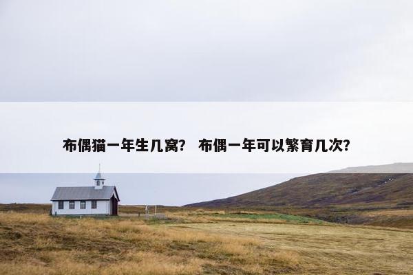 布偶猫一年生几窝? 布偶一年可以繁育几次? 布偶猫一年生几窝? 布偶一年可以繁育几次?