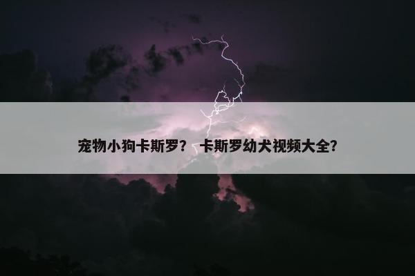 宠物小狗卡斯罗？ 卡斯罗幼犬视频大全？