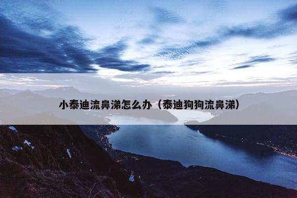 小泰迪流鼻涕怎么办（泰迪狗狗流鼻涕）