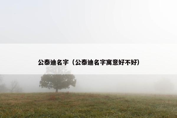 公泰迪名字(公泰迪名字寓意好不好)