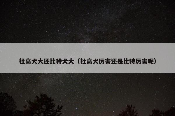杜高犬大还比特犬大(杜高犬厉害还是比特厉害呢)