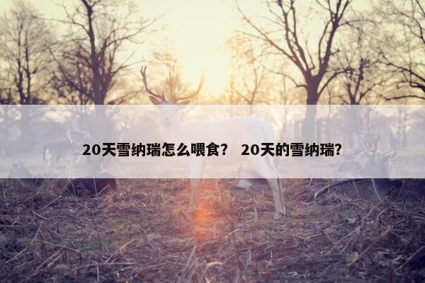 20天雪纳瑞怎么喂食? 20天的雪纳瑞? 20天雪纳瑞怎么喂食? 20天的雪纳瑞?
