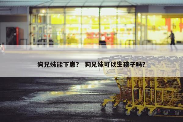 狗兄妹能下崽？ 狗兄妹可以生孩子吗？