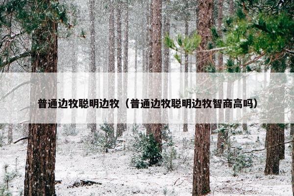 普通边牧聪明边牧（普通边牧聪明边牧智商高吗）