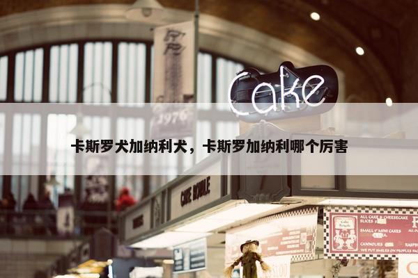 卡斯罗犬加纳利犬,卡斯罗加纳利哪个厉害