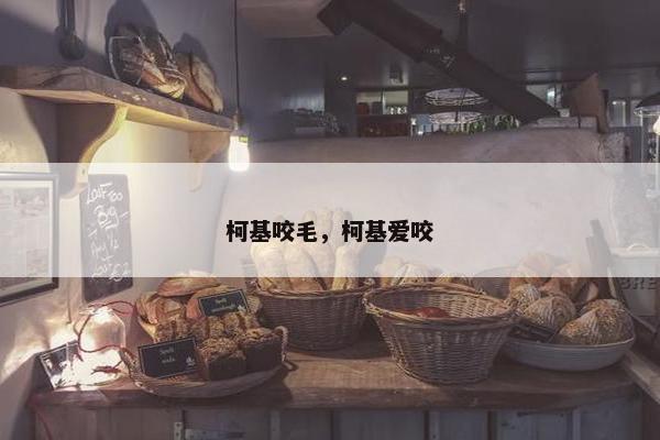 柯基咬毛，柯基爱咬