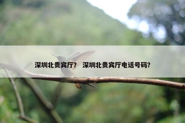 深圳北贵宾厅？ 深圳北贵宾厅电话号码？