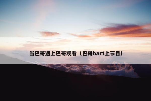 当巴哥遇上巴哥观看(巴哥bart上节目)