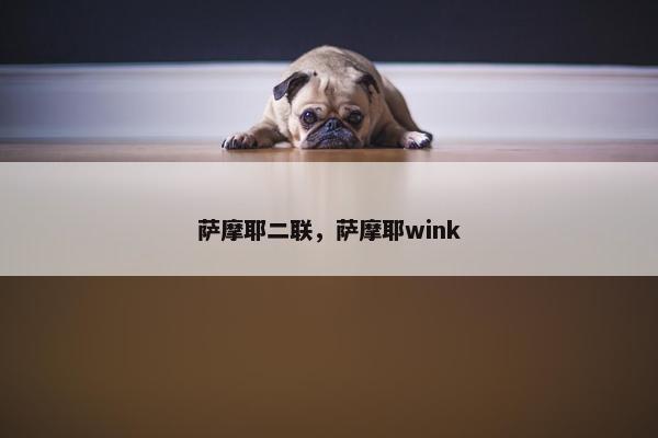 萨摩耶二联,萨摩耶wink 萨摩耶二联,萨摩耶wink
