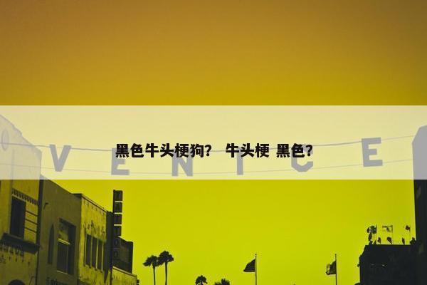 黑色牛头梗狗? 牛头梗 黑色?