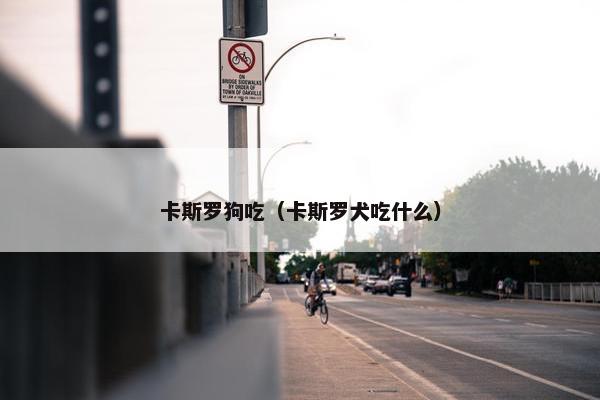 卡斯罗狗吃（卡斯罗犬吃什么）