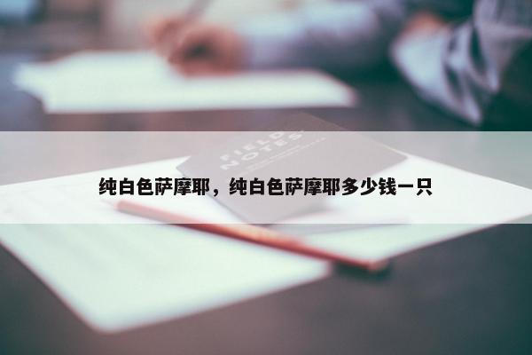 纯白色萨摩耶,纯白色萨摩耶多少钱一只