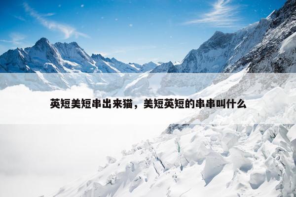 英短美短串出来猫，美短英短的串串叫什么