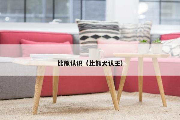 比熊认识（比熊犬认主）