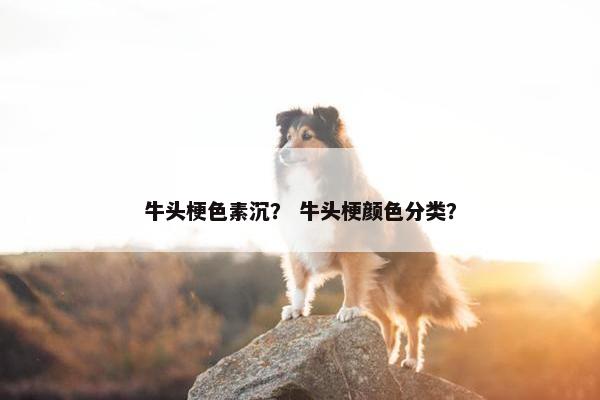 牛头梗色素沉？ 牛头梗颜色分类？