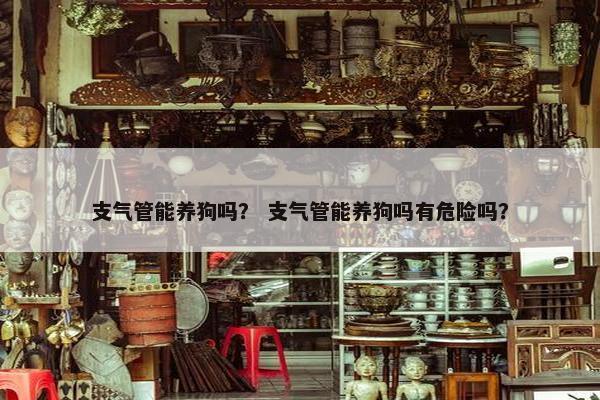 支气管能养狗吗? 支气管能养狗吗有危险吗?