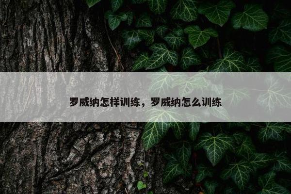 罗威纳怎样训练,罗威纳怎么训练